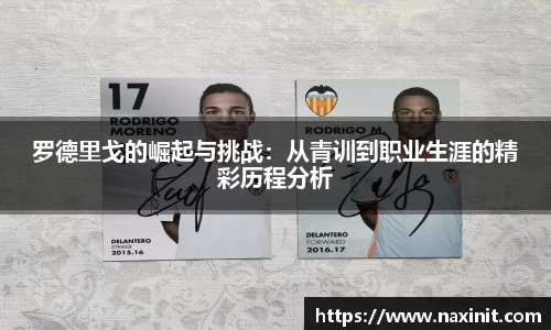 im电竞官网